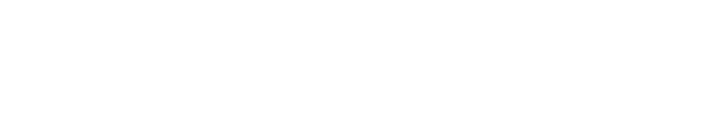 blacksnow logo