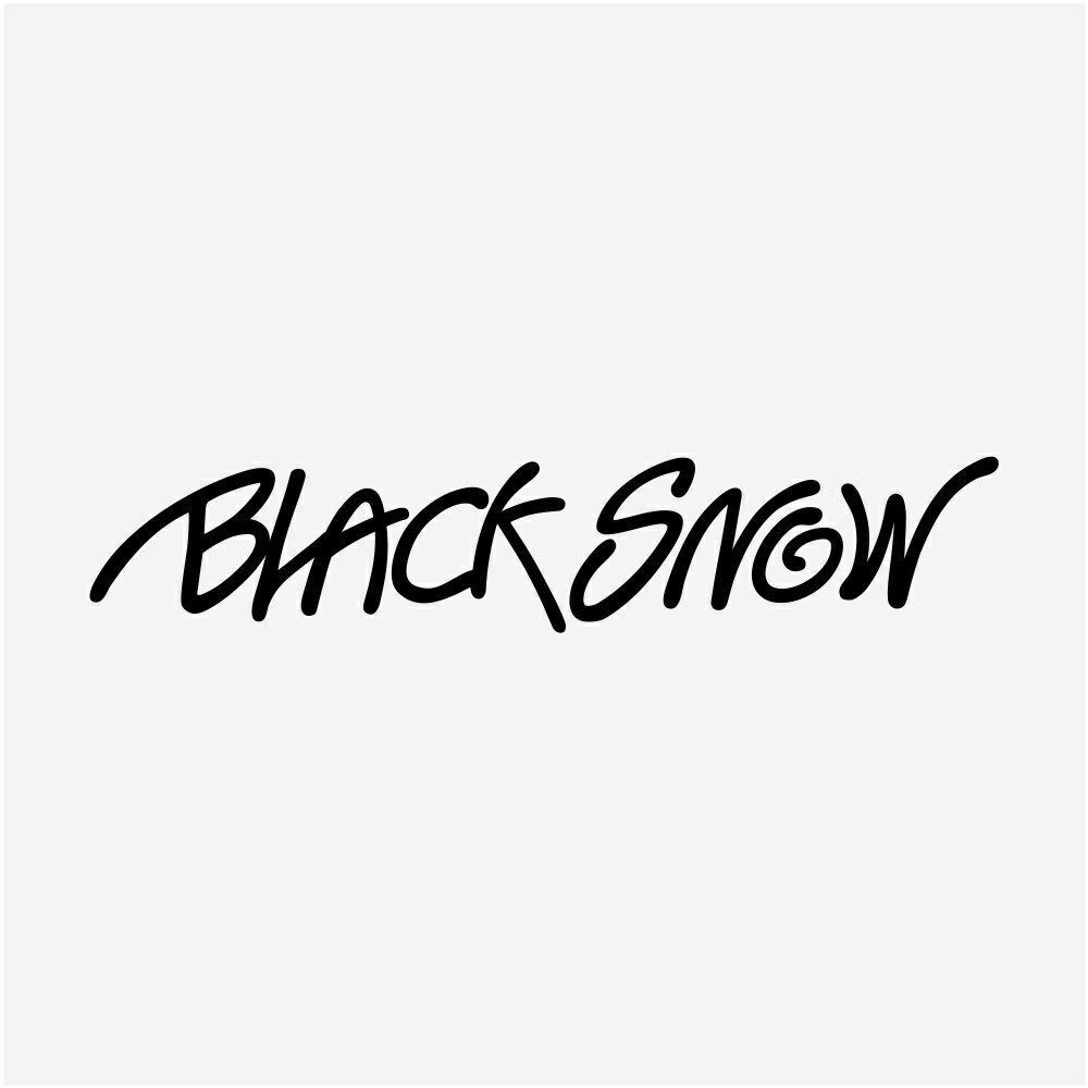 スノボウェア メンズ 上下セット スノーボードウェア BLACKSNOW